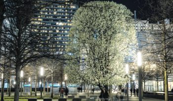 National 9/11 Memorial