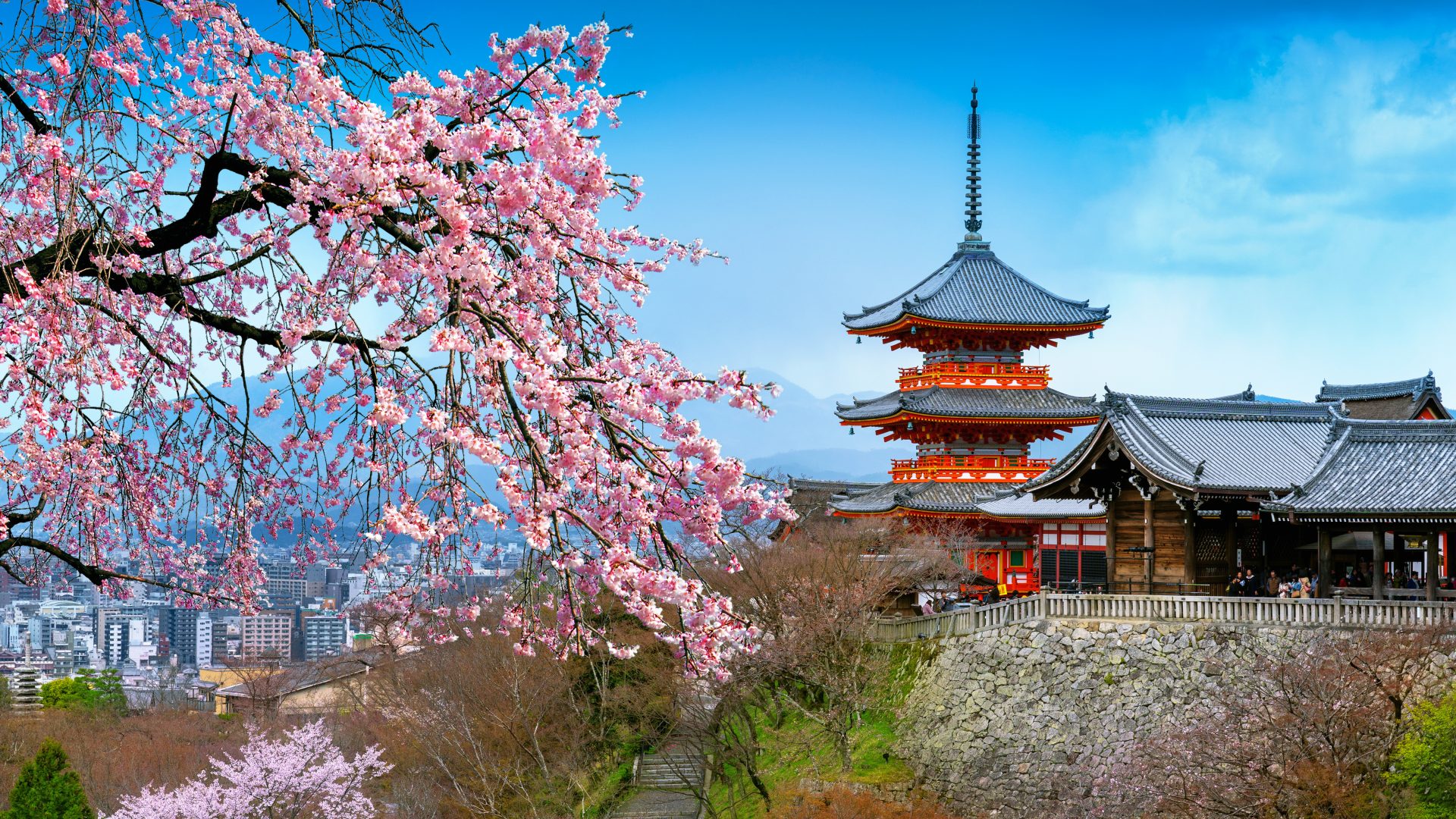 Din store guide til Japan