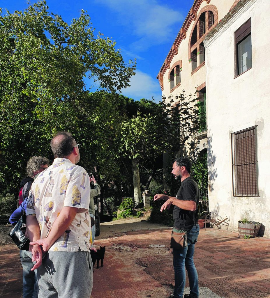 Vingård i nordspanien