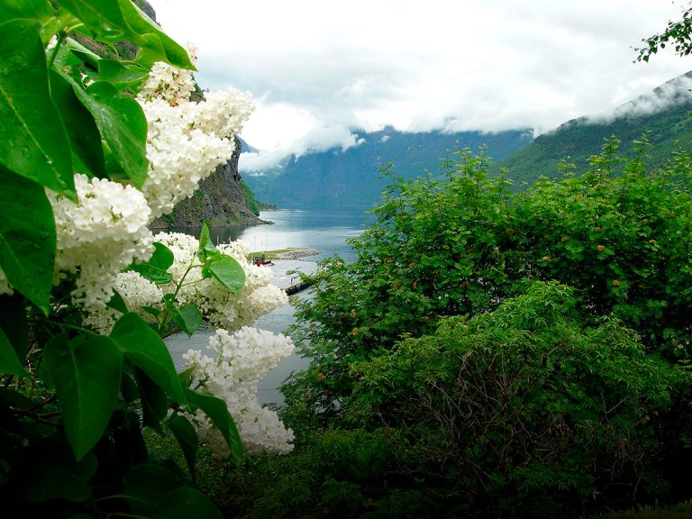 6 insidertips til den perfekte rundrejse i Norge