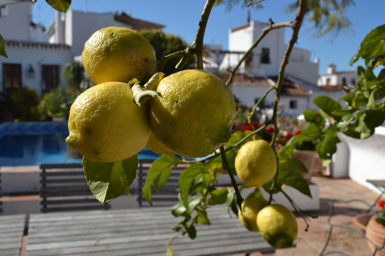 I Andalusien kan du tage på sommerferie om vinteren