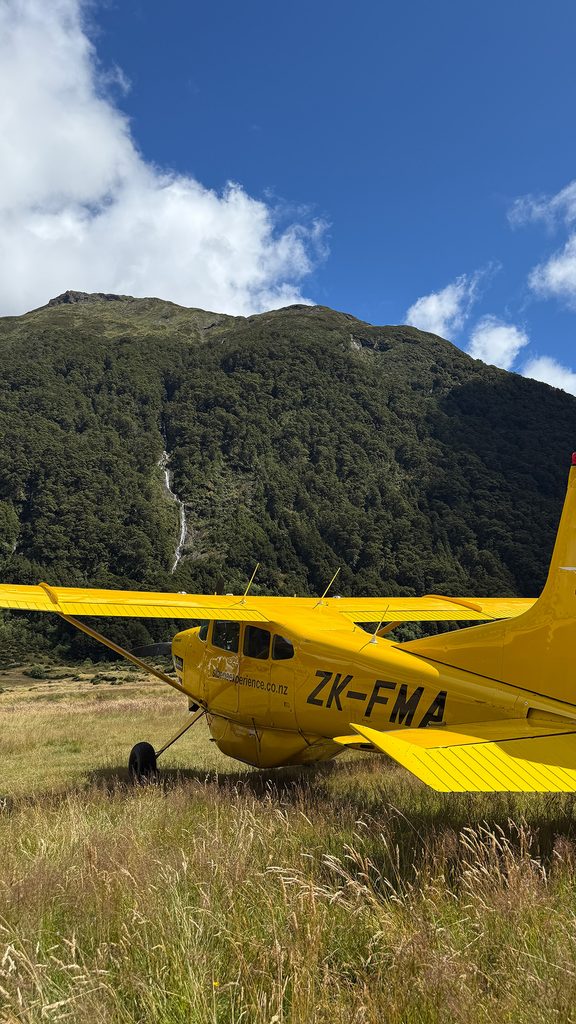 new zealand